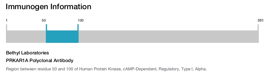 PRKAR1A Polyclonal Antibody