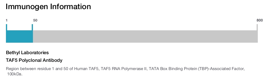 TAF5 Polyclonal Antibody