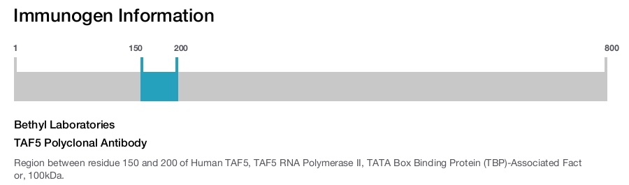 TAF5 Polyclonal Antibody