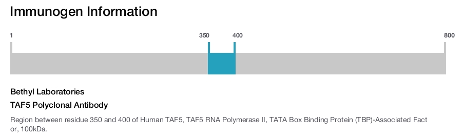 TAF5 Polyclonal Antibody