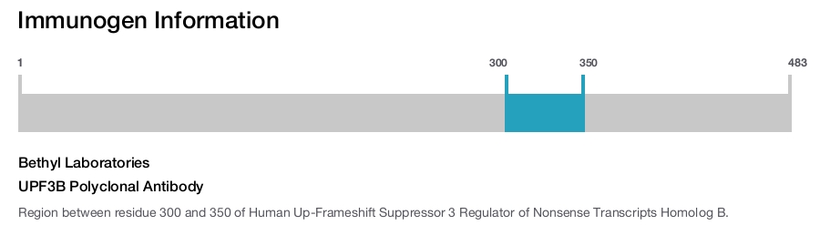 UPF3B Polyclonal Antibody