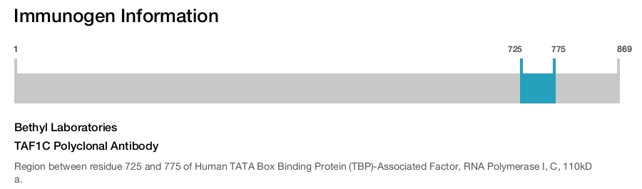 TAF1C Polyclonal Antibody