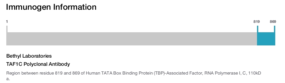 TAF1C Polyclonal Antibody
