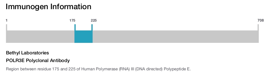 POLR3E Polyclonal Antibody
