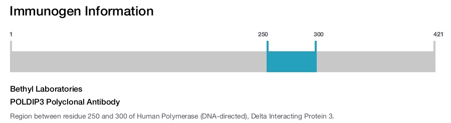 POLDIP3 Polyclonal Antibody
