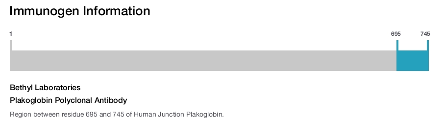 Plakoglobin Polyclonal Antibody