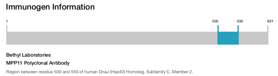 MPP11 Polyclonal Antibody