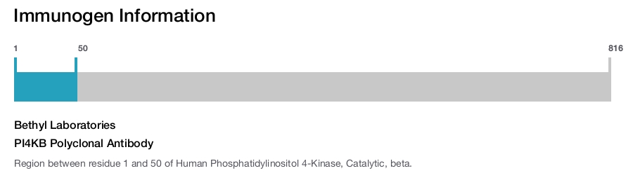 PI4KB Polyclonal Antibody