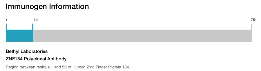 ZNF184 Polyclonal Antibody