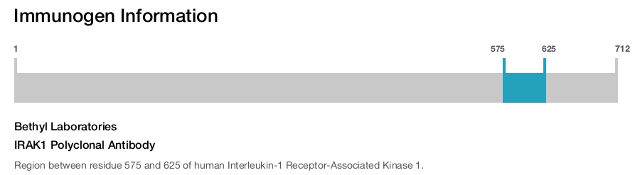IRAK1 Polyclonal Antibody