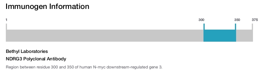 NDRG3 Polyclonal Antibody