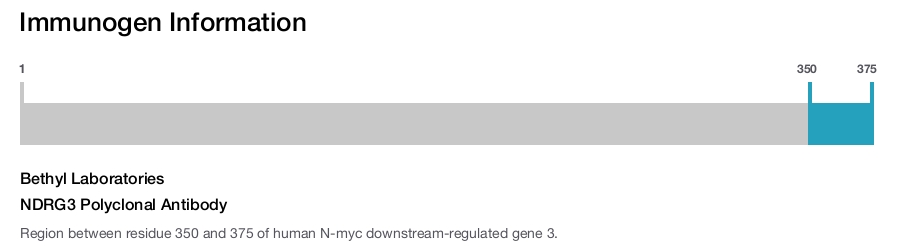 NDRG3 Polyclonal Antibody