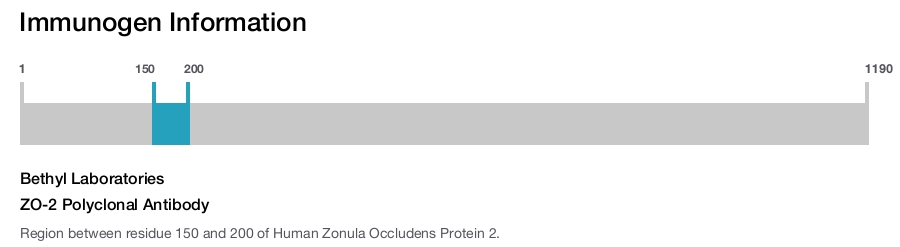 ZO-2 Polyclonal Antibody