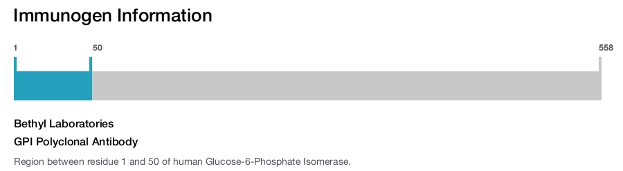 GPI Polyclonal Antibody