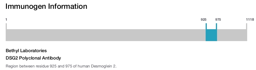 DSG2 Polyclonal Antibody