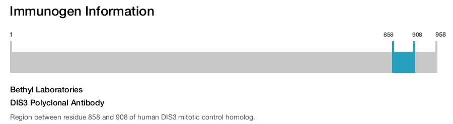 DIS3 Polyclonal Antibody