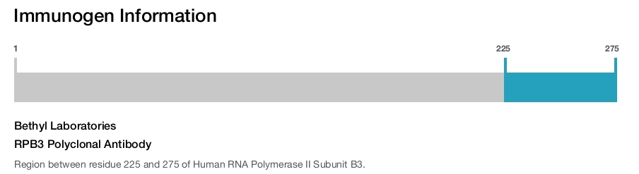 RPB3 Polyclonal Antibody