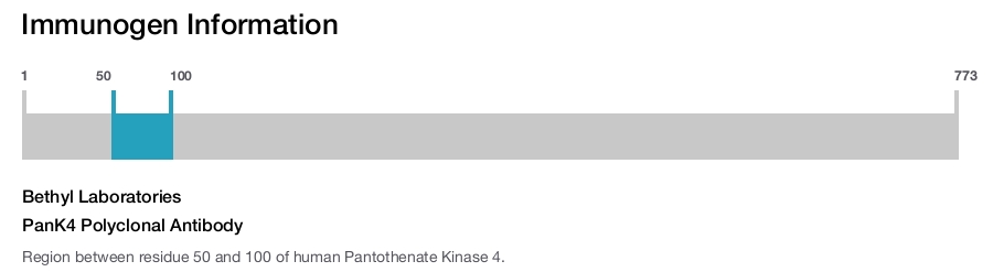 PanK4 Polyclonal Antibody