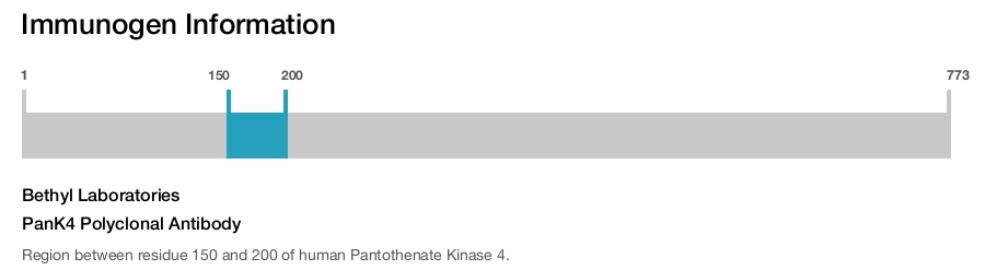 PanK4 Polyclonal Antibody