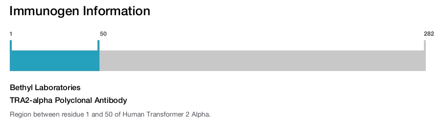 TRA2-alpha Polyclonal Antibody