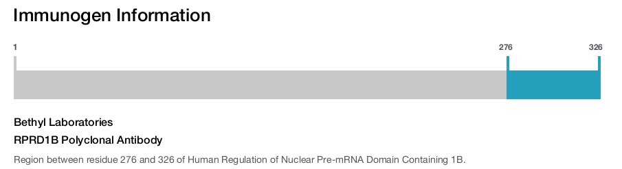 RPRD1B Polyclonal Antibody