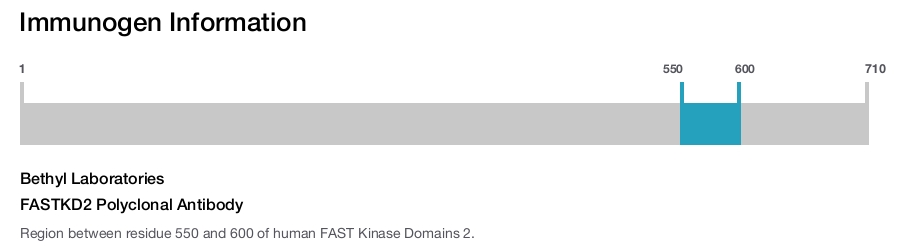 FASTKD2 Polyclonal Antibody