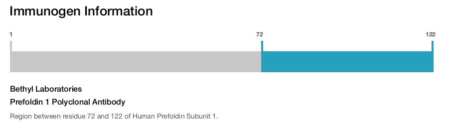 Prefoldin 1 Polyclonal Antibody