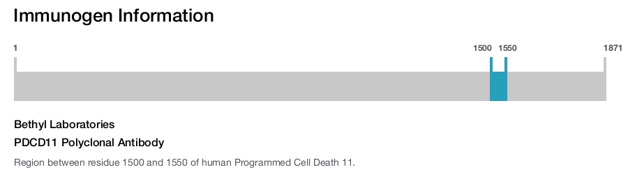 PDCD11 Polyclonal Antibody