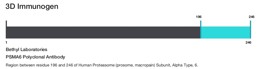 PSMA6 Polyclonal Antibody