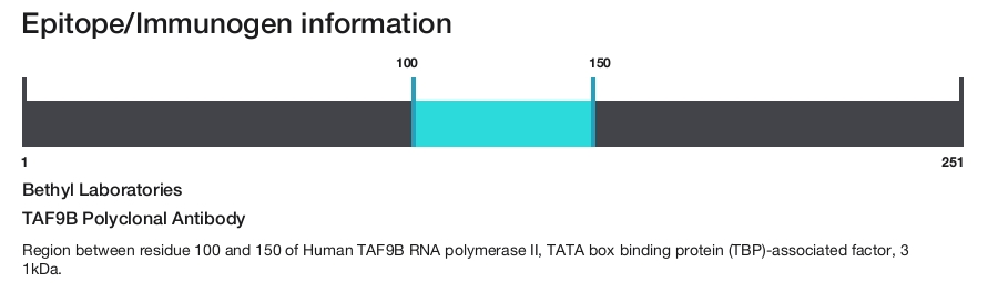 TAF9B Polyclonal Antibody