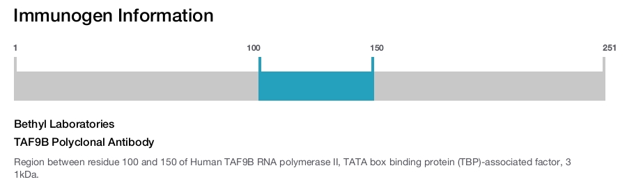 TAF9B Polyclonal Antibody