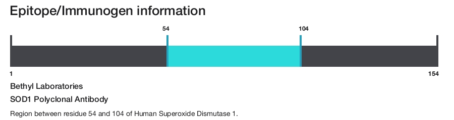 SOD1 Polyclonal Antibody