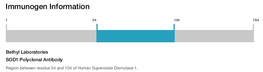 SOD1 Polyclonal Antibody