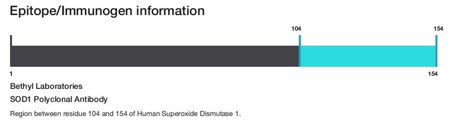 SOD1 Polyclonal Antibody