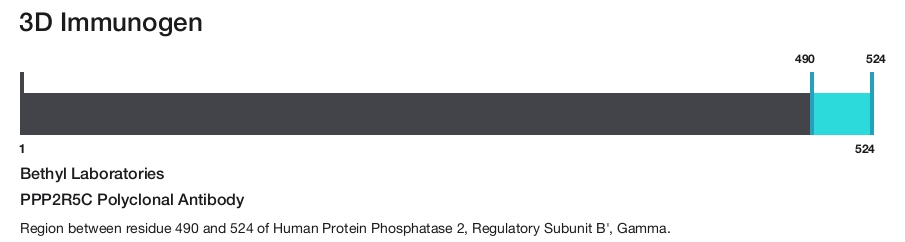 PPP2R5C Polyclonal Antibody