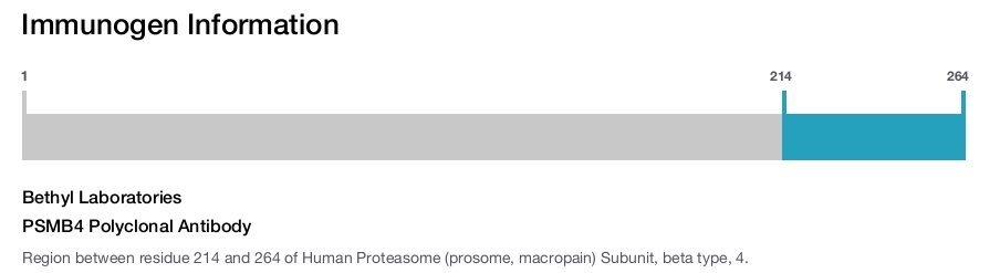 PSMB4 Polyclonal Antibody