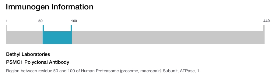 PSMC1 Polyclonal Antibody