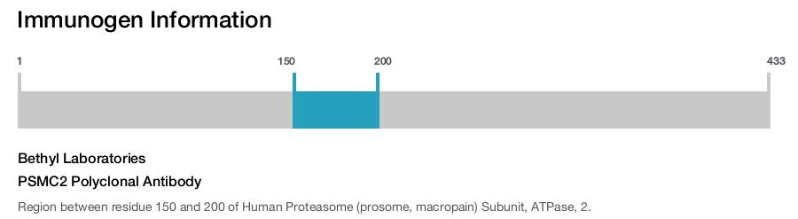 PSMC2 Polyclonal Antibody