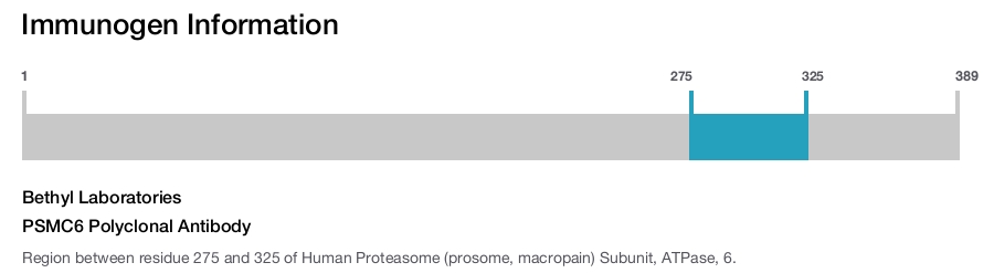 PSMC6 Polyclonal Antibody
