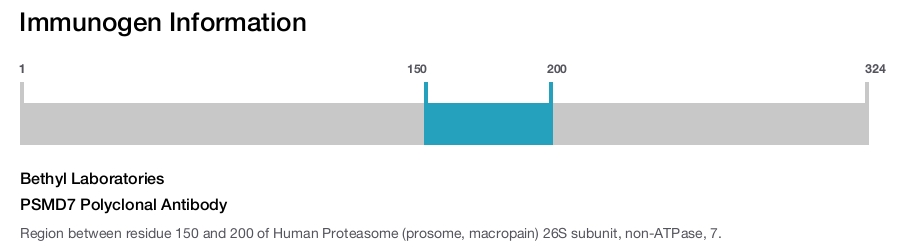 PSMD7 Polyclonal Antibody