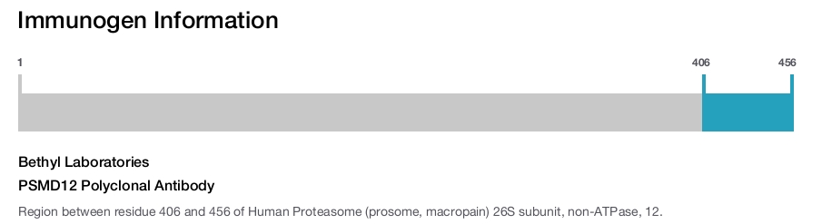 PSMD12 Polyclonal Antibody