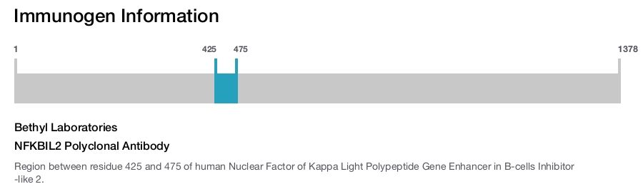 NFKBIL2 Polyclonal Antibody