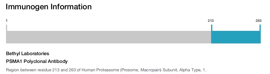 PSMA1 Polyclonal Antibody