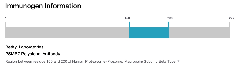 PSMB7 Polyclonal Antibody