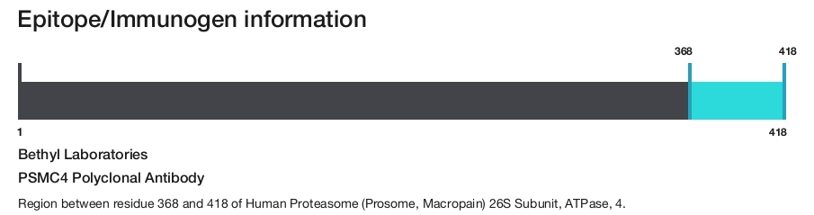 PSMC4 Polyclonal Antibody