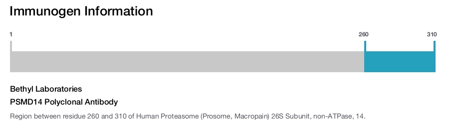 PSMD14 Polyclonal Antibody