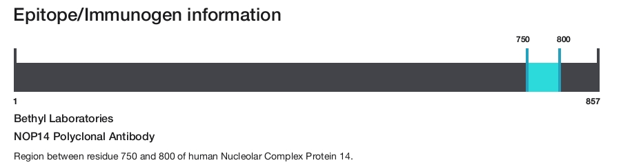 NOP14 Polyclonal Antibody