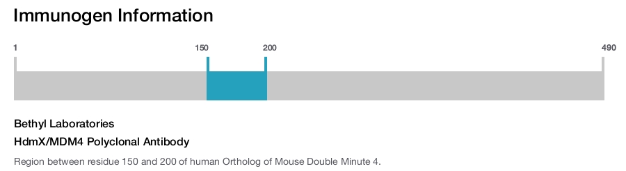 HdmX/MDM4 Polyclonal Antibody