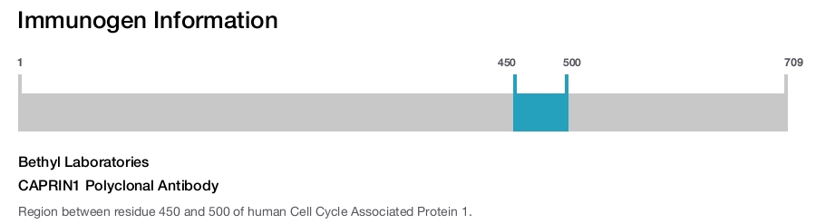 CAPRIN1 Polyclonal Antibody