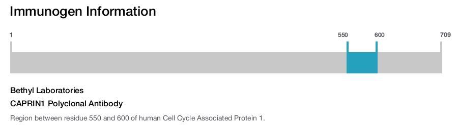 CAPRIN1 Polyclonal Antibody